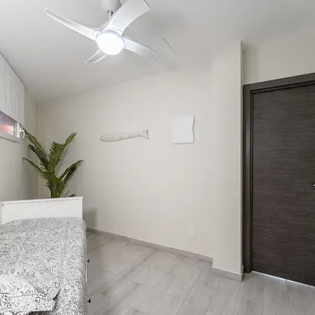 In The Orlando Complex Lejlighed *