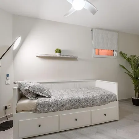 In The Orlando Complex *